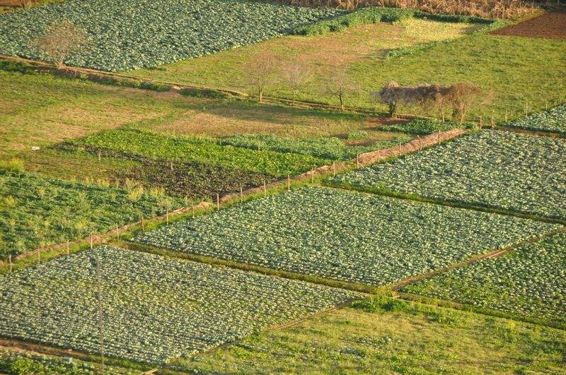 AgroSierra Levante 1