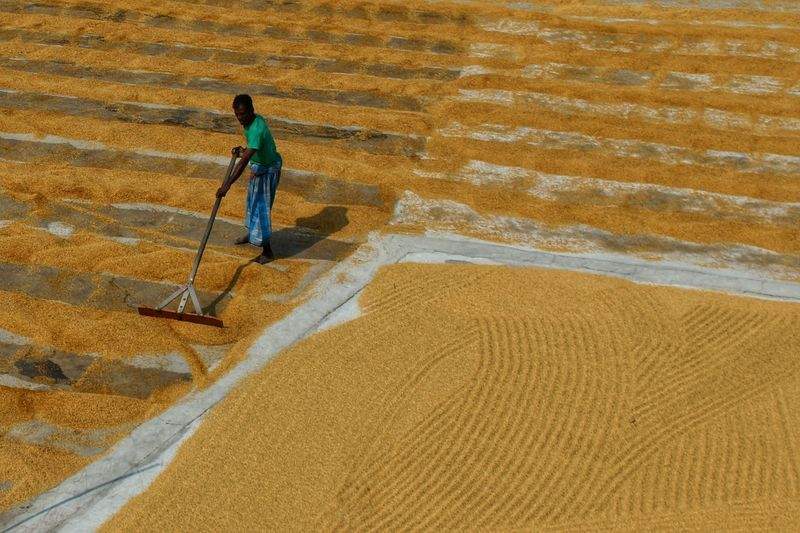AgroSierra Levante 10