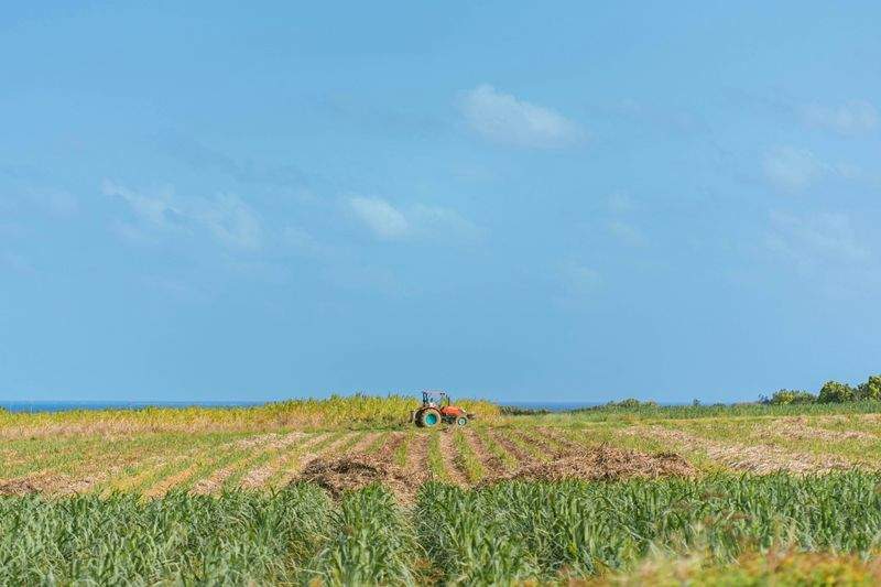 AgroSierra Levante 13