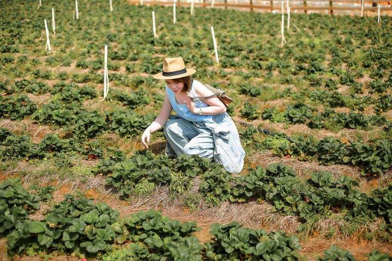AgroSierra Levante 15