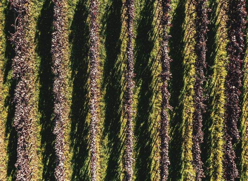 AgroSierra Levante 2