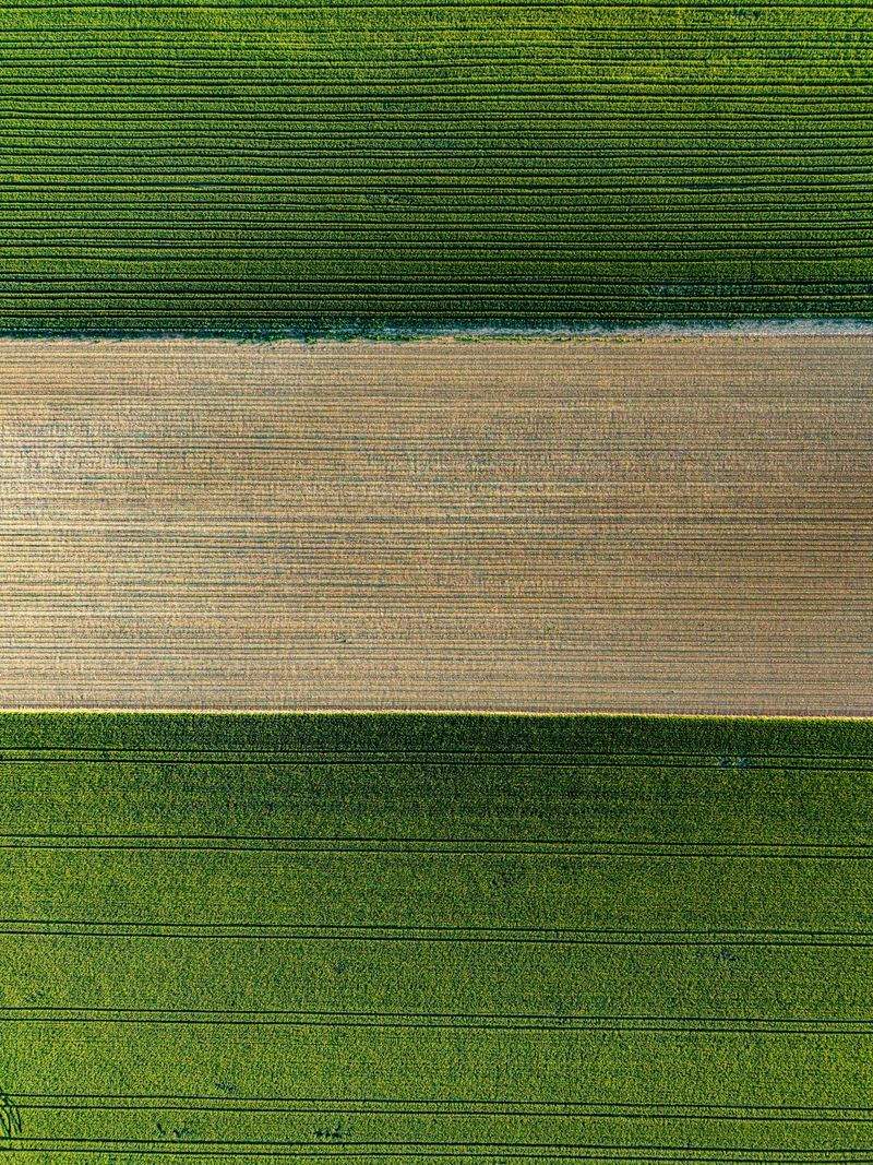 AgroSierra Levante 4