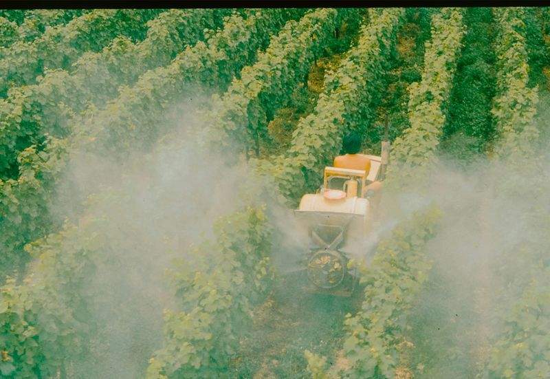 AgroSierra Levante 7